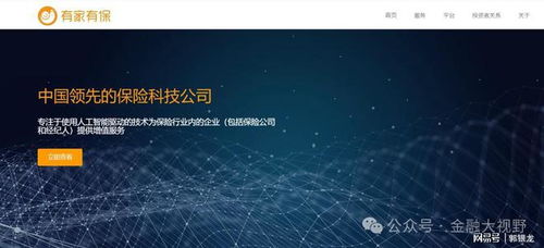 高光時(shí)刻 兩家保險(xiǎn)科技公司成功上市，技術(shù)推廣服務(wù)賦能行業(yè)新生態(tài)